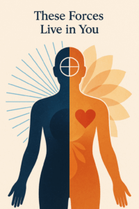 A human silhouette graphic, bisected vertically—left side mapping masculine (mind, symbols, structured rays), right side feminine (heart, fluid shapes, petals).